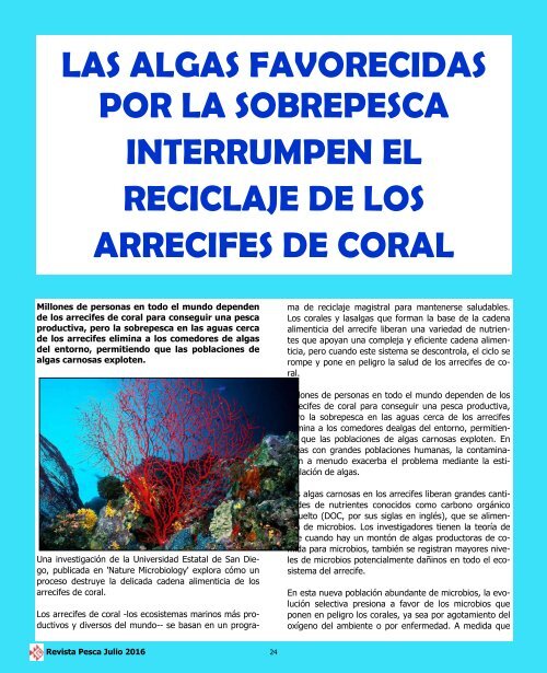 REVISTA PESCA JULIO 2016