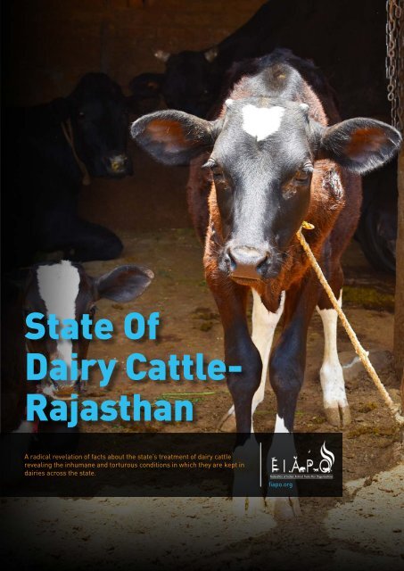 State Of Dairy Cattle- Rajasthan