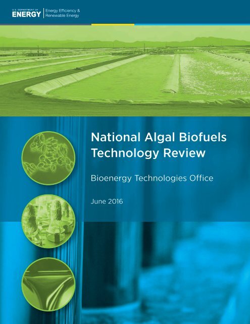 National Algal Biofuels Technology Review