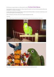 Thankyou Haven Parrot Rescue