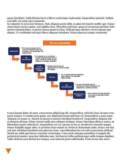 Revista prototipo