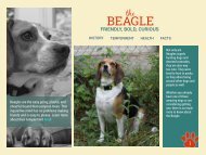 The Beagle