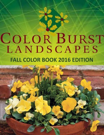 Color Burst Fall Color Book