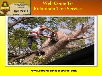  Tree removal Service in Dallas| Robertson Tree Service