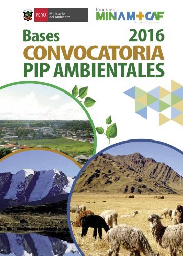 CONVOCATORIA PIP AMBIENTALES