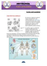 APUNTES TEJIDO CARTILAGINOSO