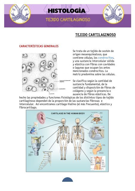 APUNTES TEJIDO CARTILAGINOSO