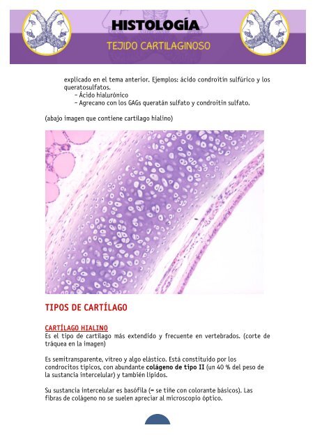 funcion del tejido cartilaginoso hialino