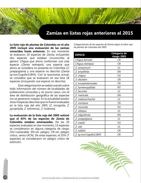 Plan de acción para la conservación de las zamias de Colombia