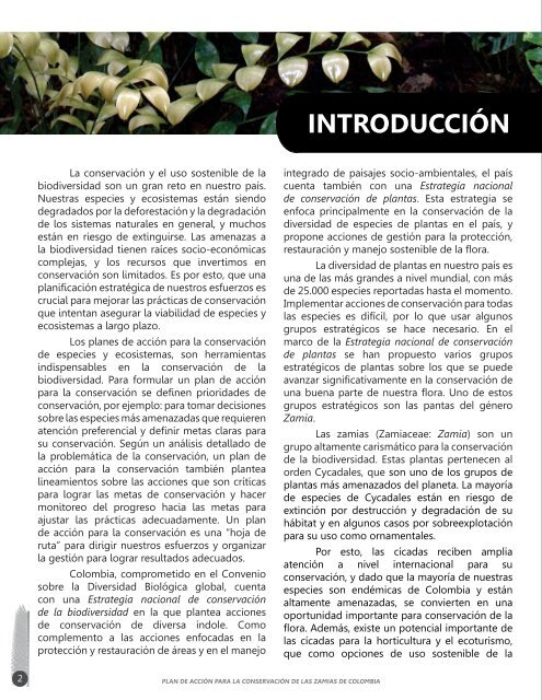 Plan de acción para la conservación de las zamias de Colombia