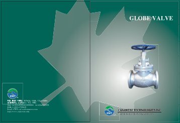 Cwt Globe Valve