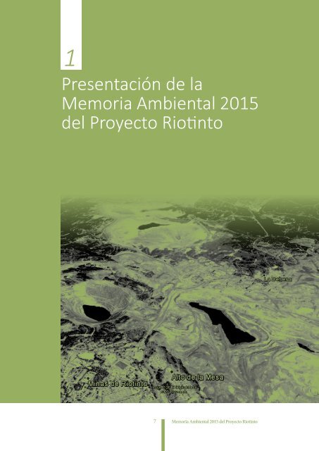 Memoria Ambiental 2015 del Proyecto Riotinto