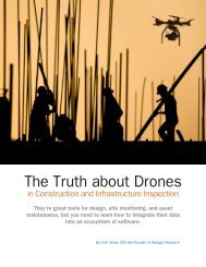 The Truth about Drones