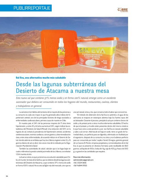 Revista del Cobre Junio 2016