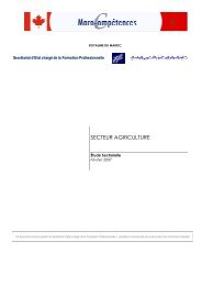 SECTEUR AGRICULTURE - Abhatoo