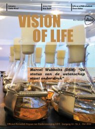 Vision 4_site