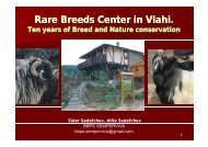 Rare Breeds Center in Vlahi. Ten years of Breed and Nature ...