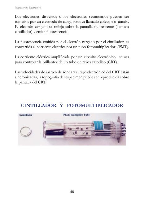 MICROSCOPIA ELECTRÓNICA