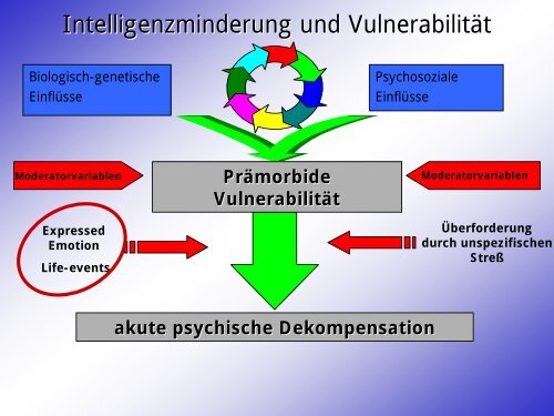 Geistige Behinderung - psychische Erkrankung - EVBZ Steinhöring