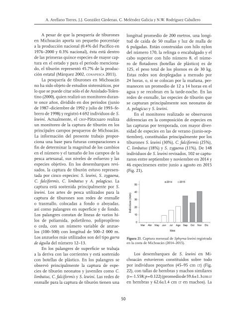 Tiburones mexicanos de importancia pesquera en la