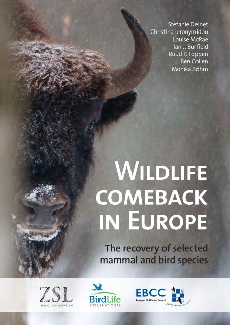 130925-studie-wildlife-comeback-in-europe