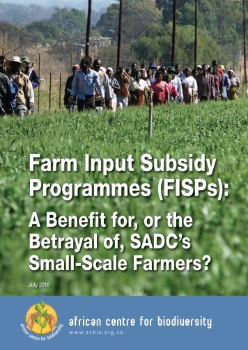 Farm Input Subsidy Programmes (FISPs)