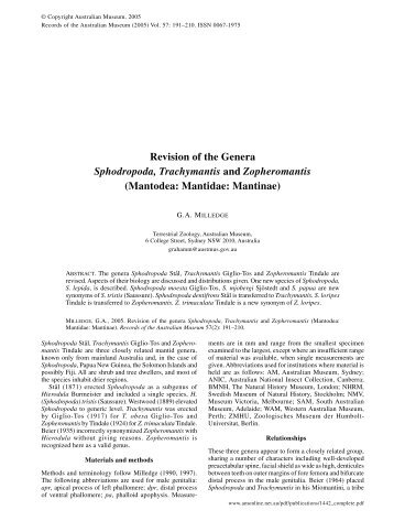 Revision of the genera Sphodropoda, Trachymantis and ...