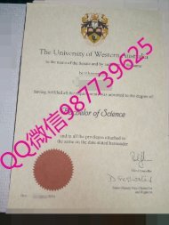 UWA毕业证【QQ微信987739625办澳洲毕业证】西澳大学毕业证