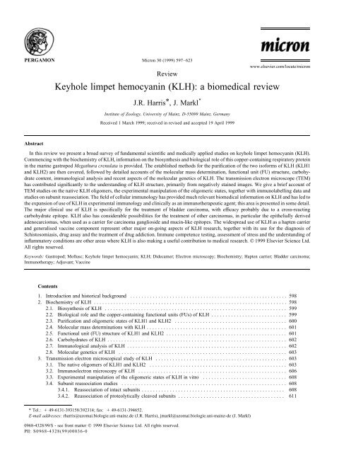 Keyhole limpet hemocyanin (KLH): a biomedical review