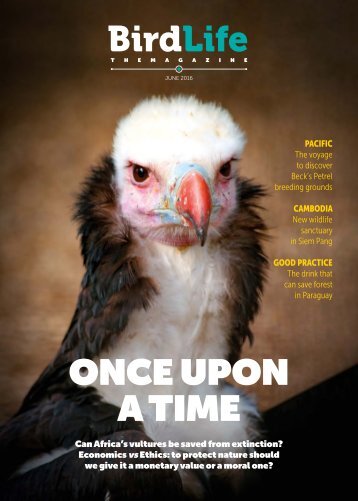 BirdLife The Magazine June 2016