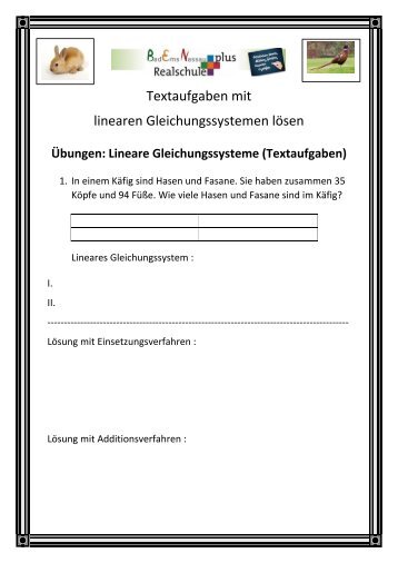 Textaufgaben mit Linearen Gleichungssystemen