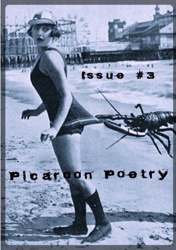 Picaroon Poetry - Issue #3 - July 2016