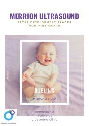 Fetal development stages month by month