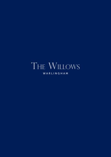 Willow 190716