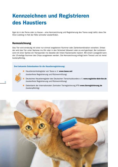 Ratgeber RheinLand Versicherungen – Urlaub mit Haustieren
