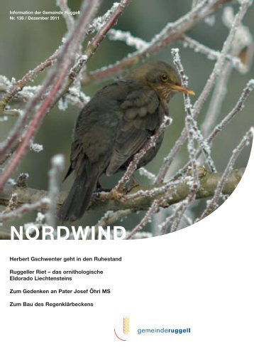 NORDWIND