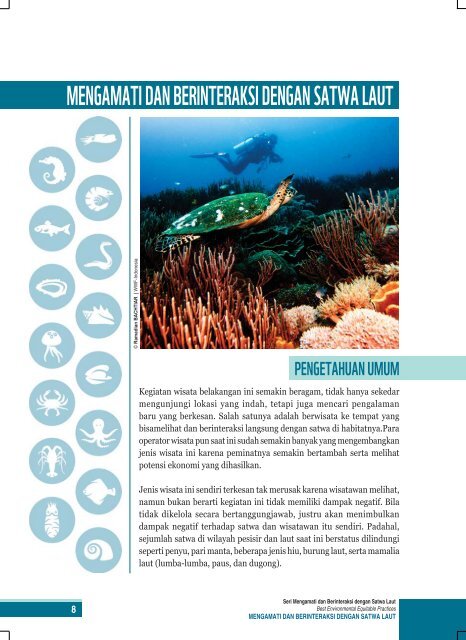 MENGAMATI DAN BERINTERAKSI DENGAN SATWA LAUT