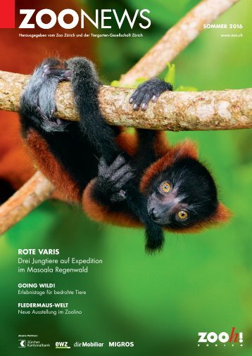 Zoonews Sommer 2016