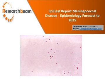 Infections Caused by The Neisseria Meningitidis Bacteria