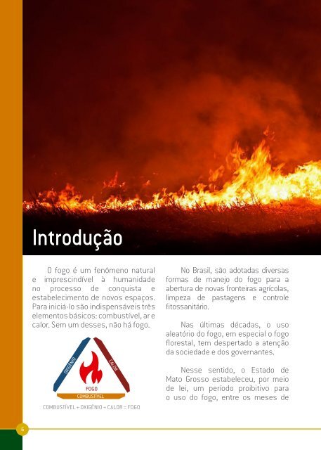 CARTILHA DE PREVENÇÃO E COMBATE A INCÊNDIOS