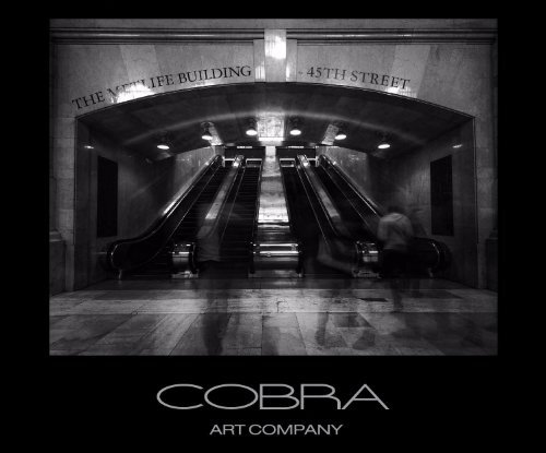 Cobra Art Book 2015