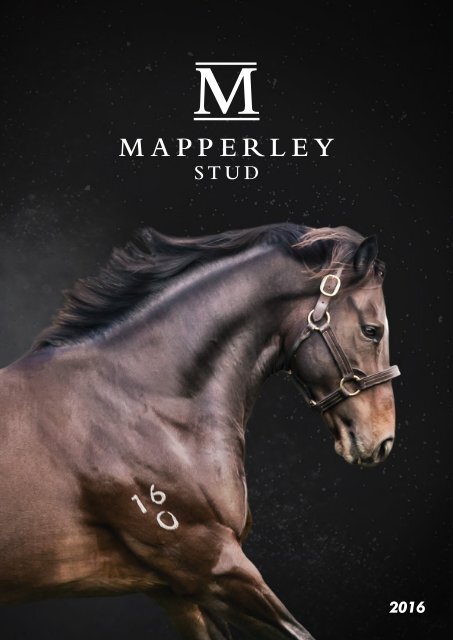 Mapperley Stud 2016 Brochure