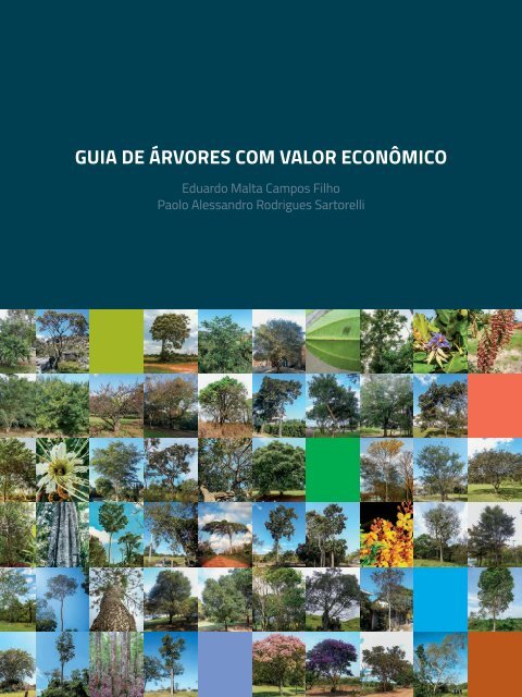 Guia_de_arvores_com_valor_economico_Agroicone