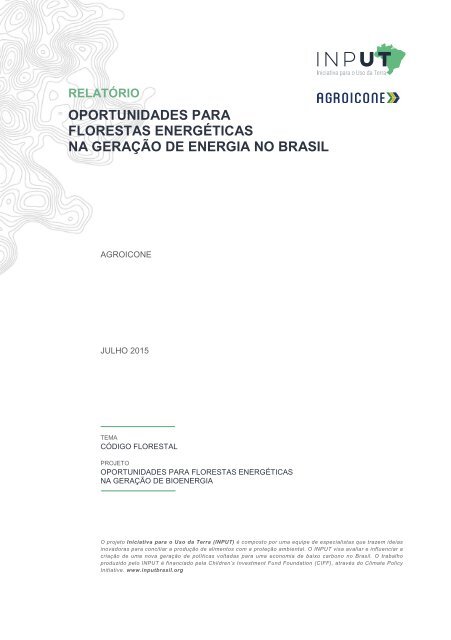 Oportunidades-Para-Florestas-Energéticas-Na-Geração-De-Energia-No-Brasil-1