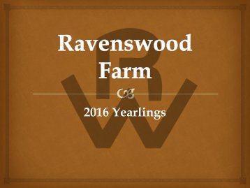 Ravenswood 2016 yearlings