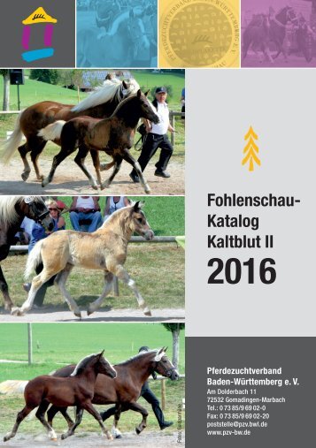 Fohlenschaukatalog Kaltblut II - Pferdezuchtverband Baden-Württemberg