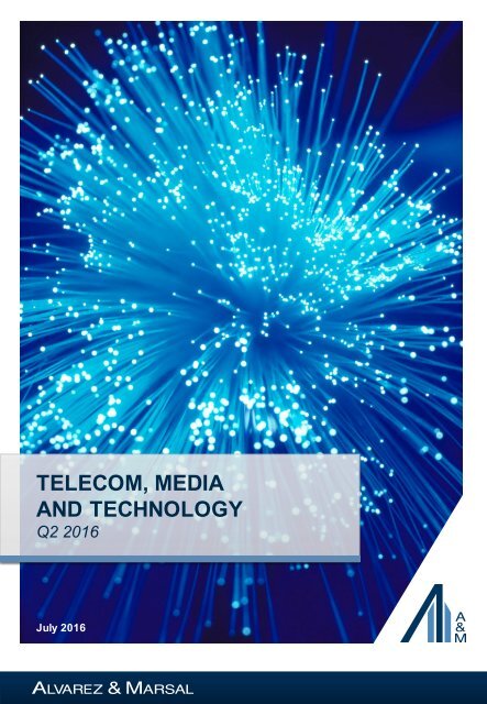 TELECOM MEDIA AND TECHNOLOGY