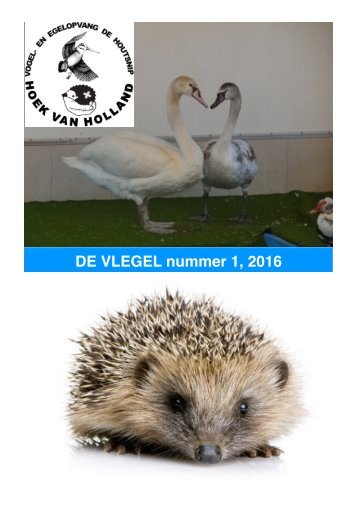 De Vlegel 1, 2016