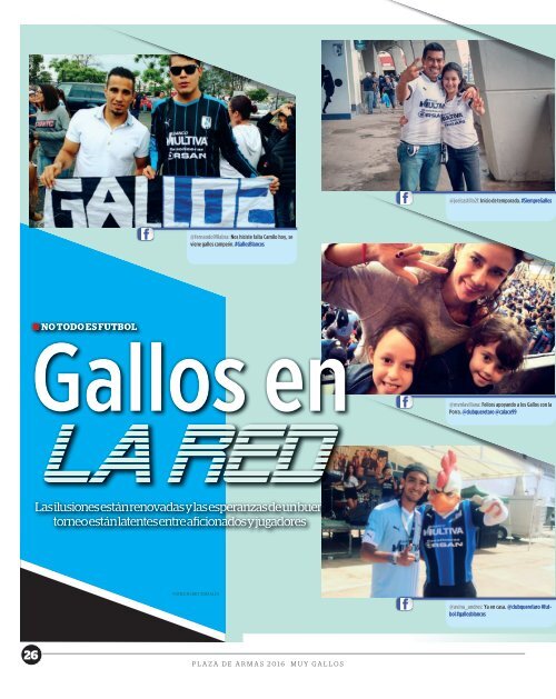 MUY_GALLOS_NÚMERO_15