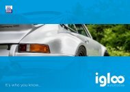 Igloo Automotive Brochure singles